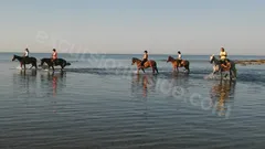  Horse Riding in Side nav photo 29