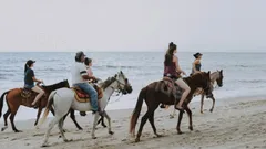  Horse Riding in Side nav photo 8