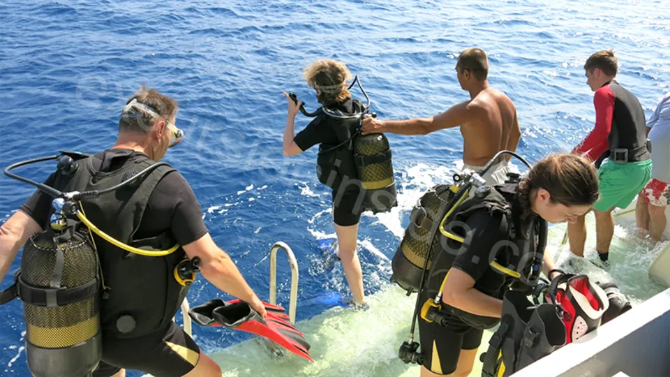Diving in Alanya from Side image 15