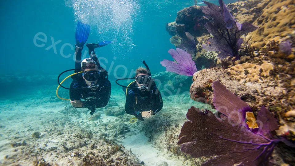 Diving in Alanya from Side image 17