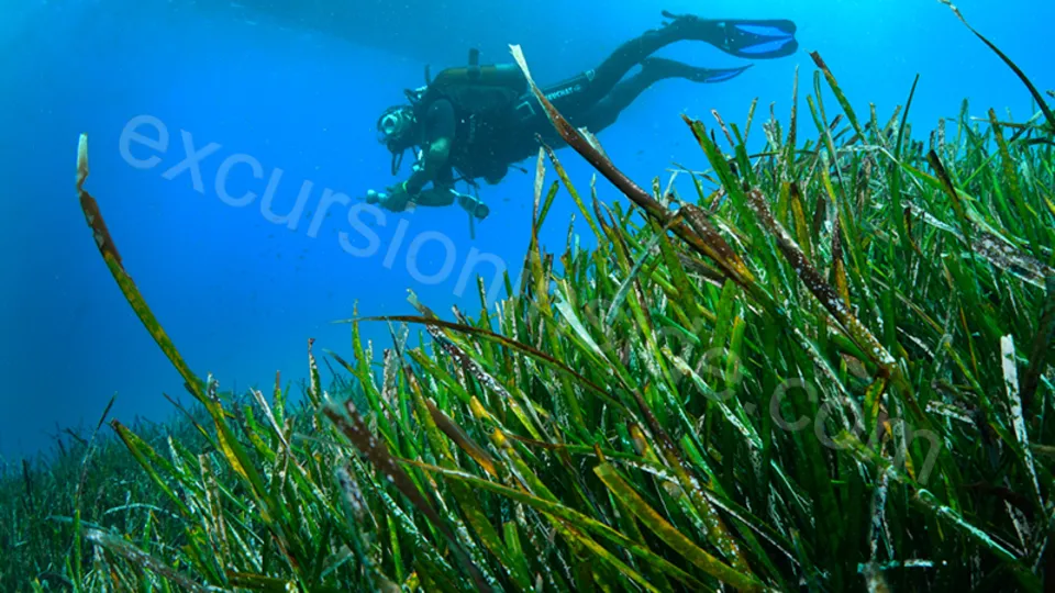 Diving in Alanya from Side 2