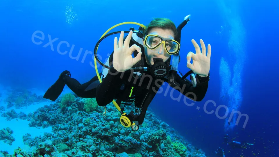 Diving in Alanya from Side image 21