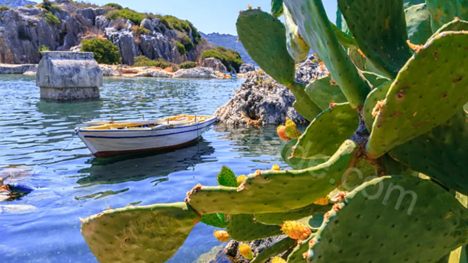 Demre Myra Kekova from Side image 17