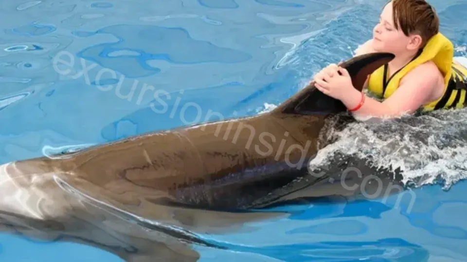 Swim With Dolphins in Side image 9