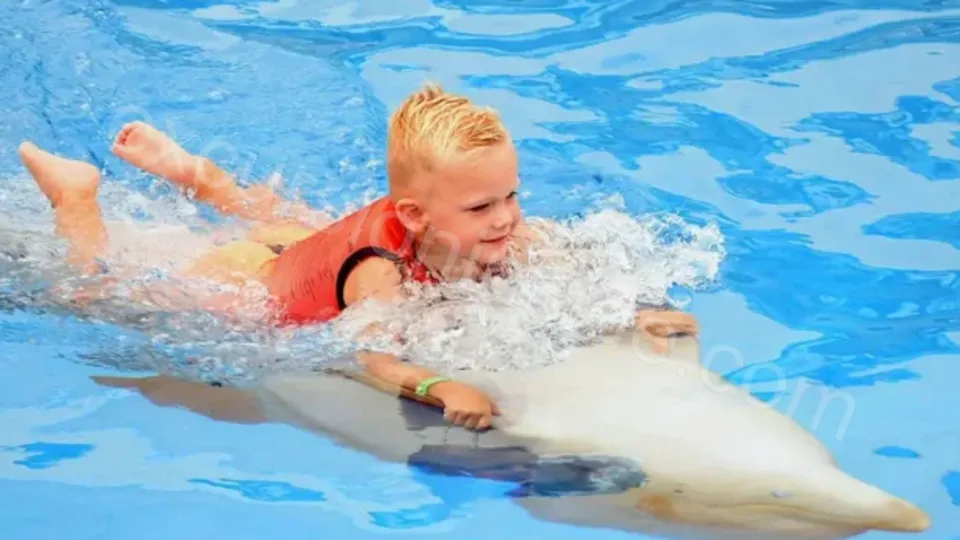 Swim With Dolphins in Side image 11