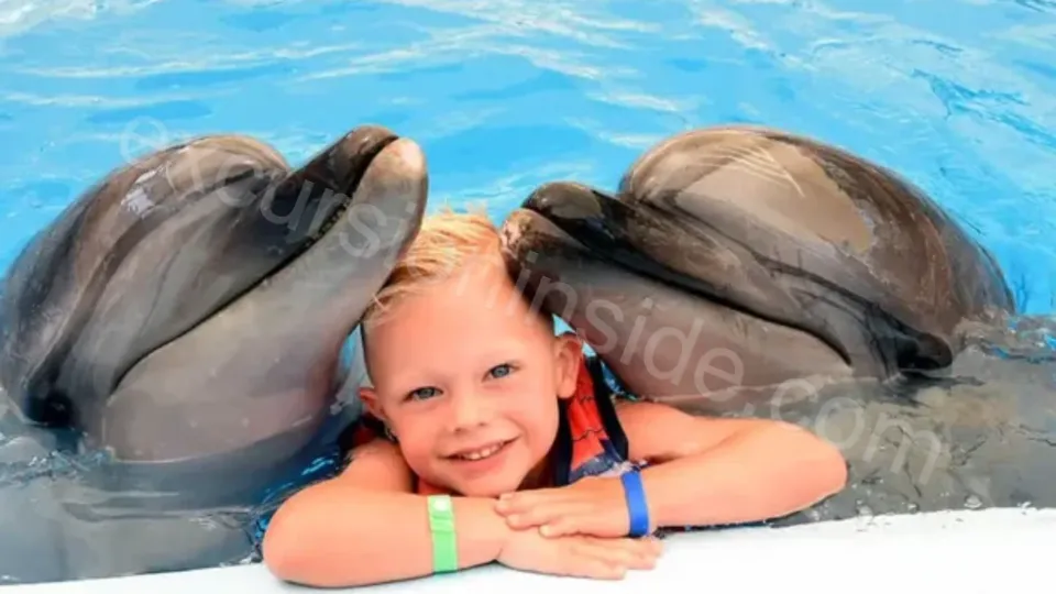 Swim With Dolphins in Side image 12