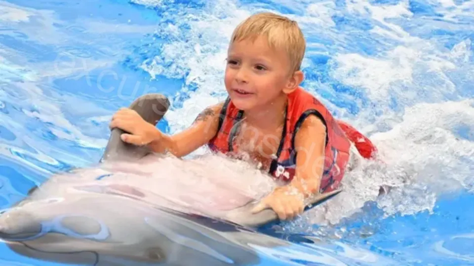 Swim With Dolphins in Side image 17