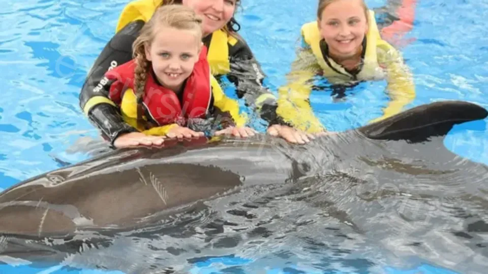 Swim With Dolphins in Side image 19
