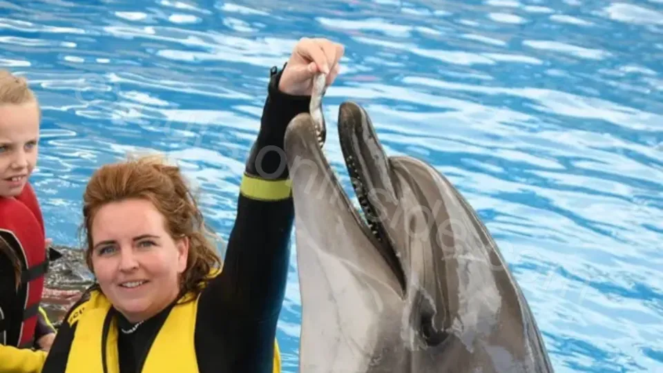 Swim With Dolphins in Side image 20