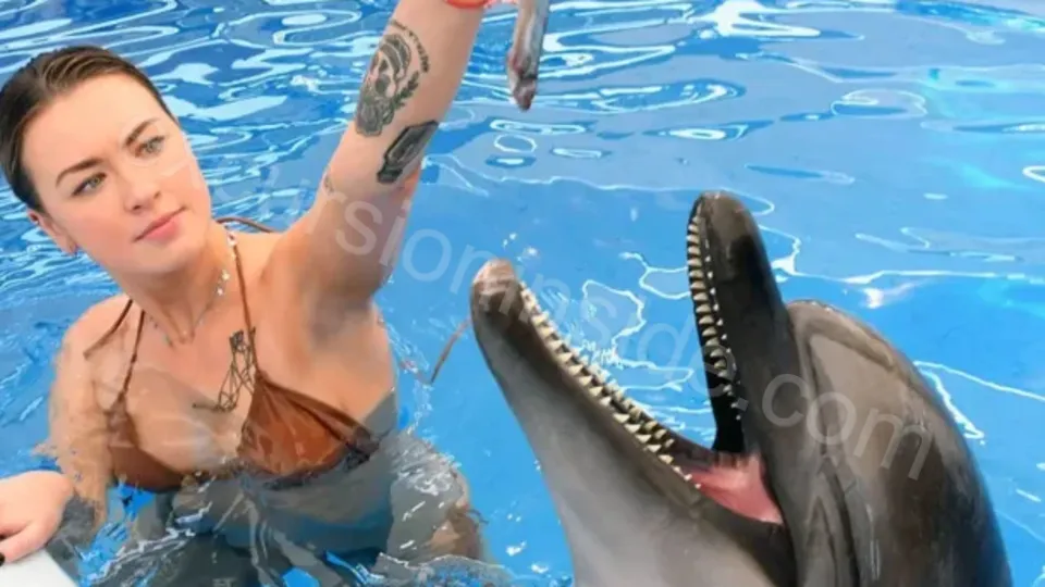 Swim With Dolphins in Side image 21