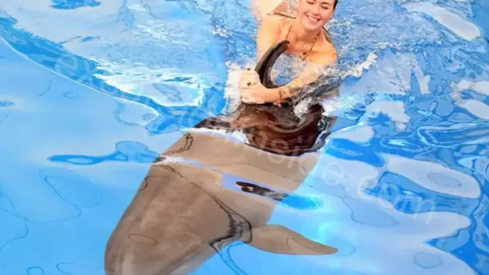 Swim With Dolphins in Side image 22