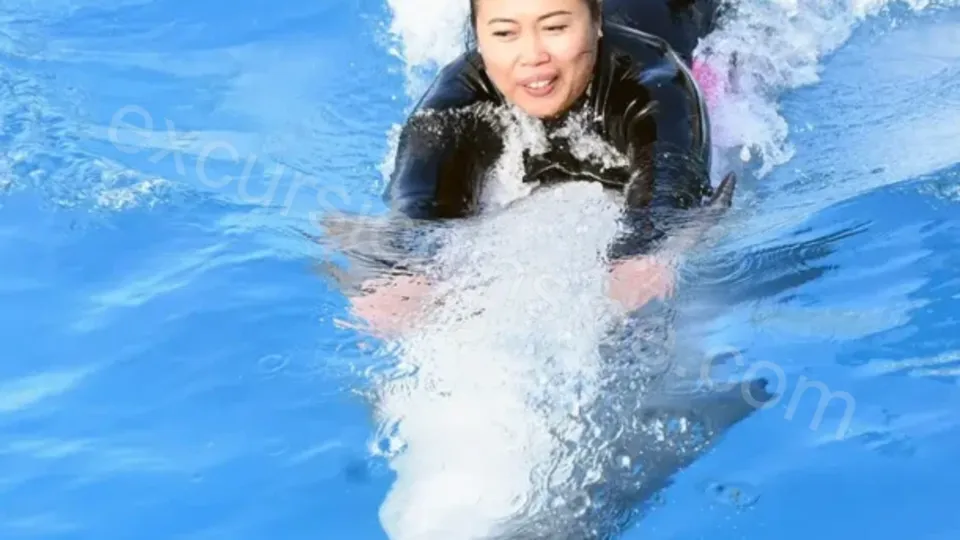 Swim With Dolphins in Side image 26