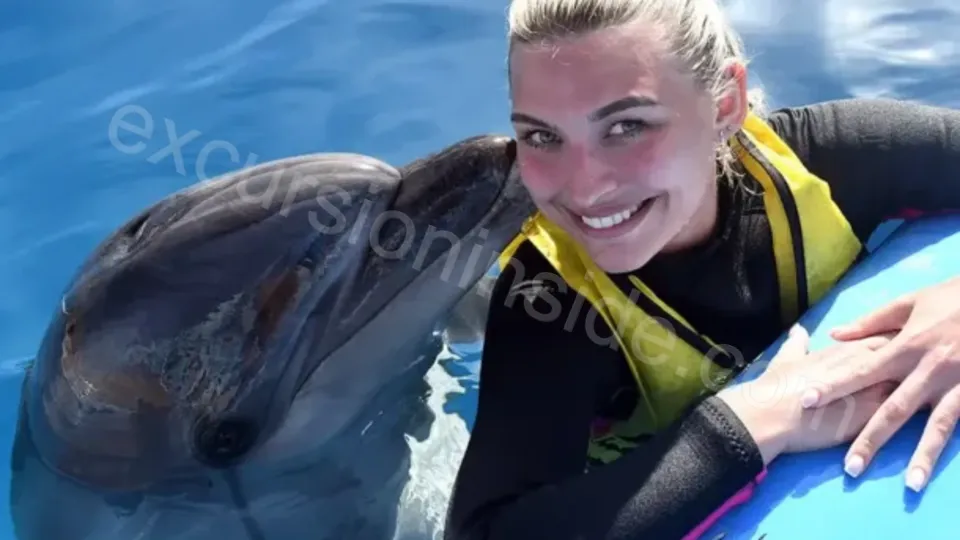 Swim With Dolphins in Side image 29