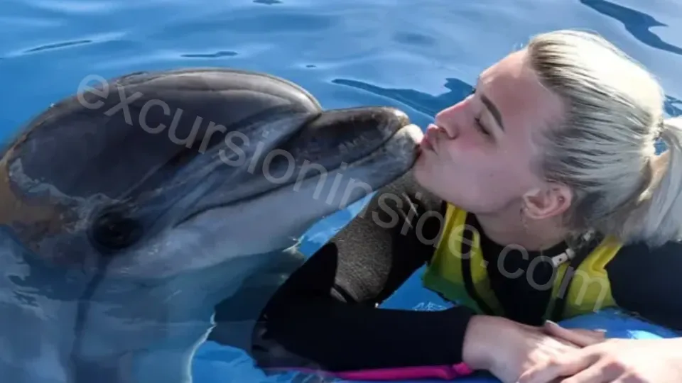 Swim With Dolphins in Side image 30