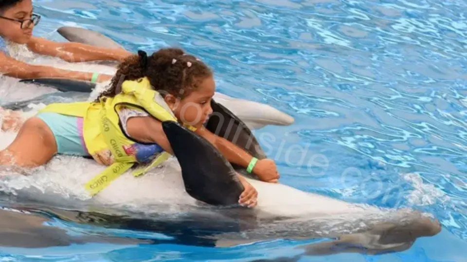 Swim With Dolphins in Side image 7