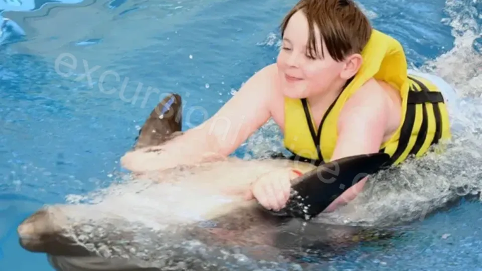 Swim With Dolphins in Side image 8