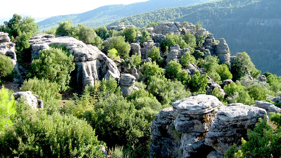 Adler(Tazı) Canyon from Side photo 30