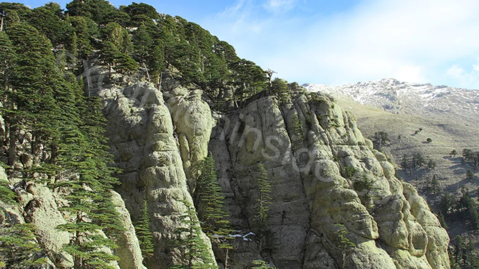 Adler(Tazı) Canyon from Side photo 32