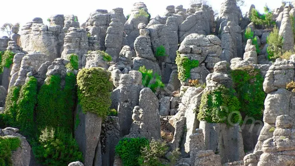 Adler(Tazı) Canyon from Side photo 34