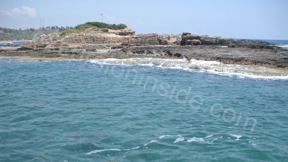 Side Dolphin Island Boat Tour photo 21