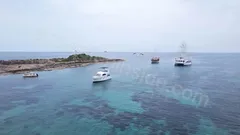 Side Dolphin Island Boat Tour nav photo 22