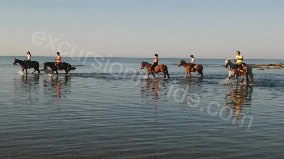 Прогулка на лошадях в Сиде image 13