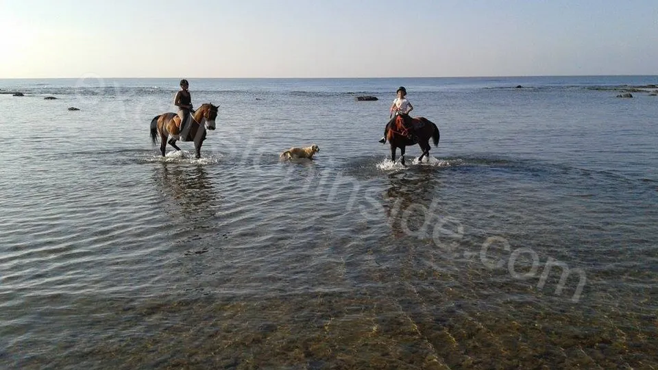 Horse Riding in Side 2
