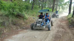 Side Buggy Safari nav photo 3