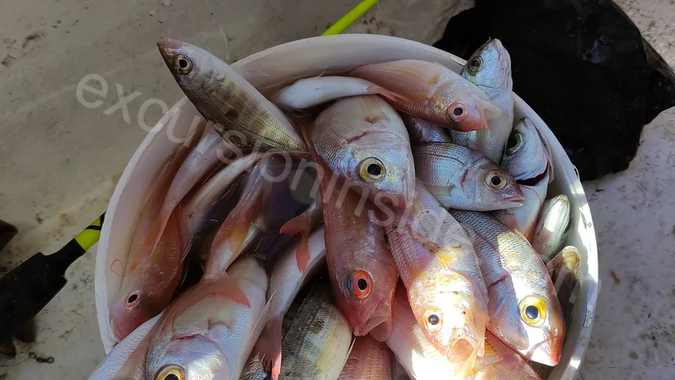 Side Fishing Tour photo 19