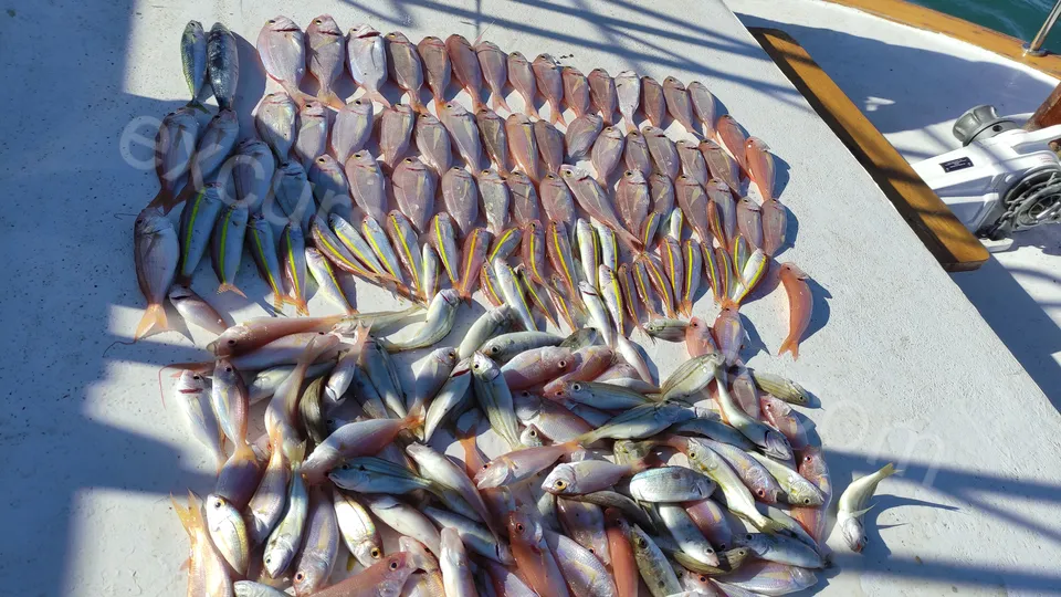 Side Fishing Tour photo 27
