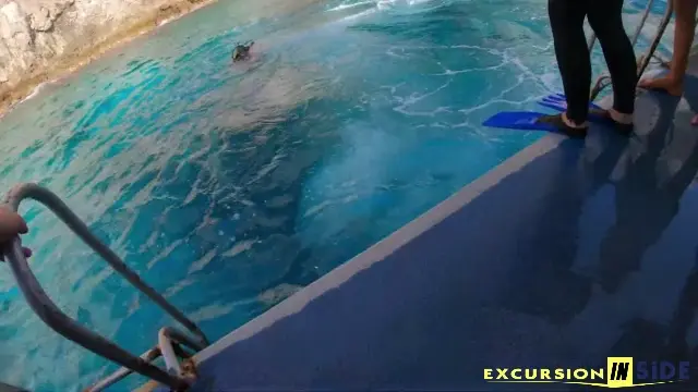 Diving in Alanya from Side animation image