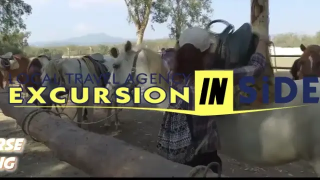 Horse Riding in Side animation image