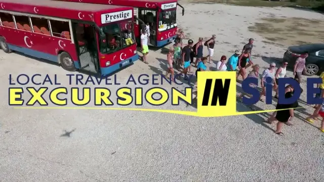 Side Dolphin Island Boat Tour animation image